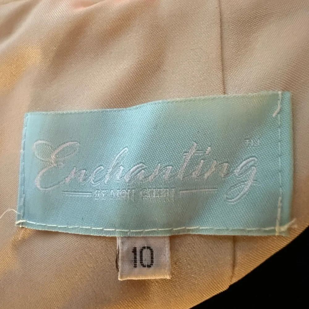 size 10 Enchanting by Mon Cheri Professionally dry cleaned in box. - Picture 5 of 10